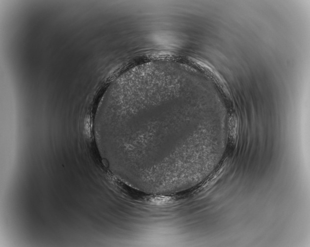 X0000093480669200711020934