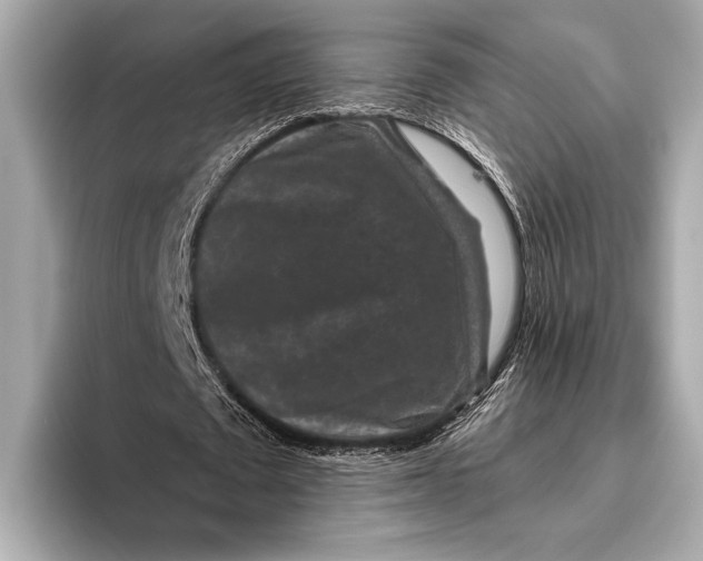 X0000093480673200711020934