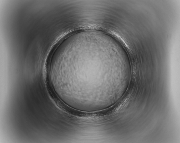 X0000093480674200711020934