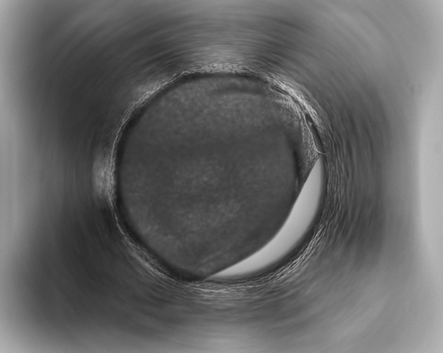 X0000093480677200711020934