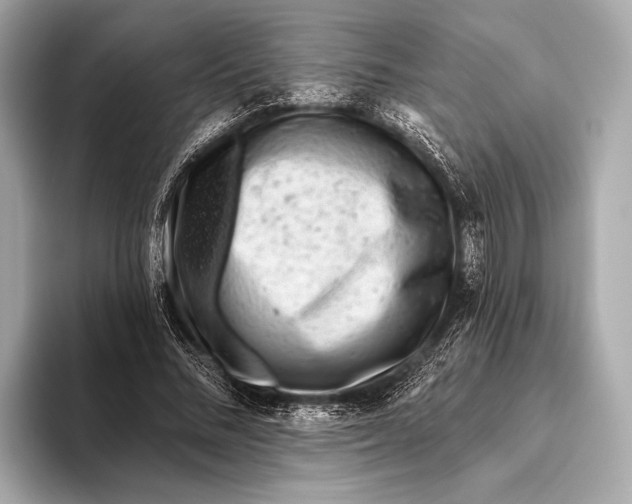 X0000093480684200711020933
