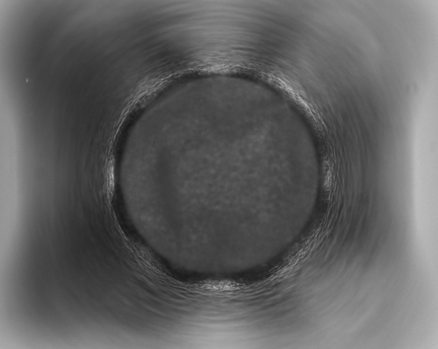 X0000093480685200711020933