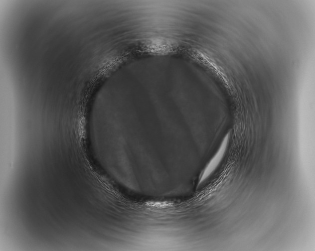 X0000093480689200711020933
