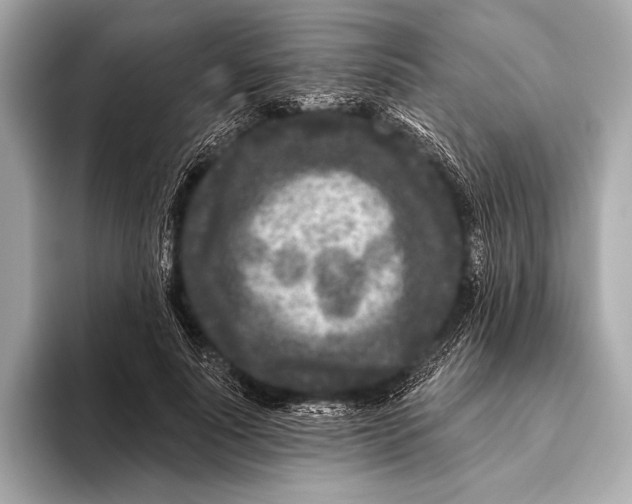 X0000093480691200711020933