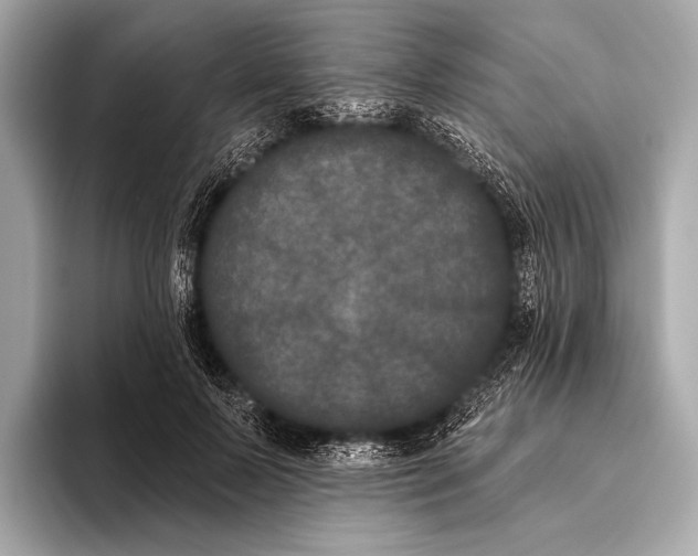 X0000093480695200711020933
