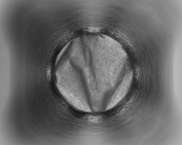 X0000093480697200711020933