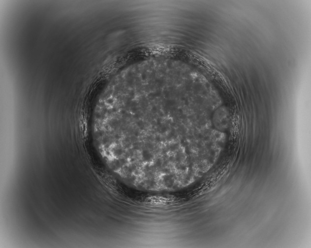 X0000093480703200711020933