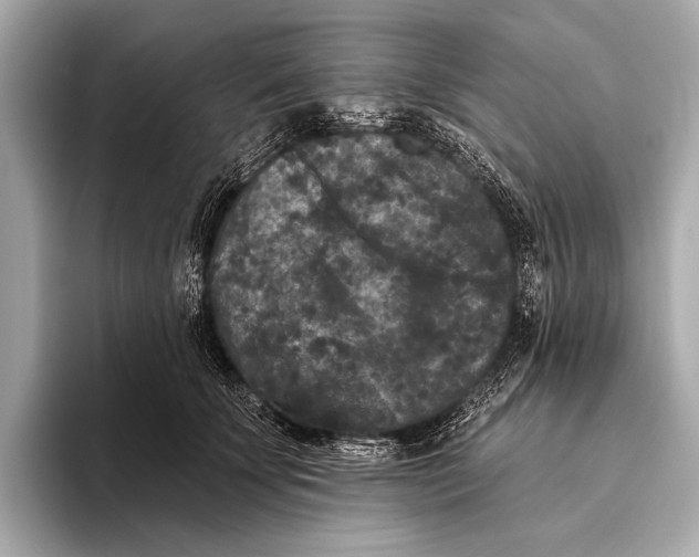 X0000093480707200711020933