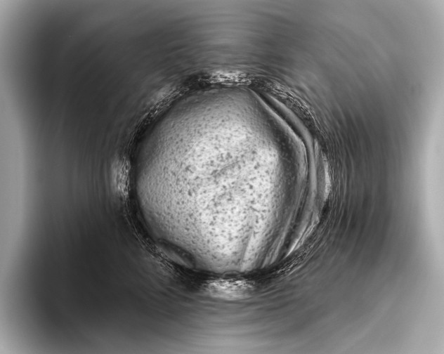 X0000093480712200711020933