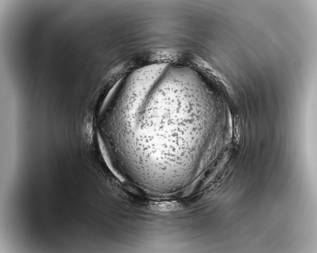X0000093480716200711020933
