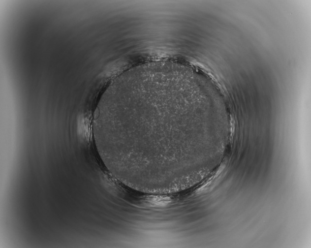 X0000093480719200711020933