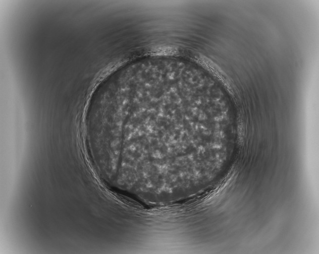 X0000093480721200711020932