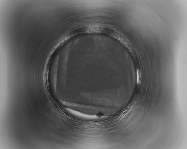 X0000093480723200711020932
