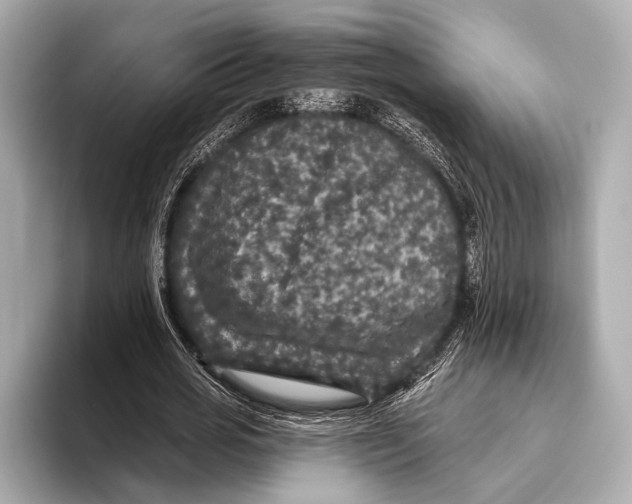 X0000093480725200711020933