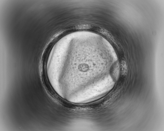 X0000093480726200711020933