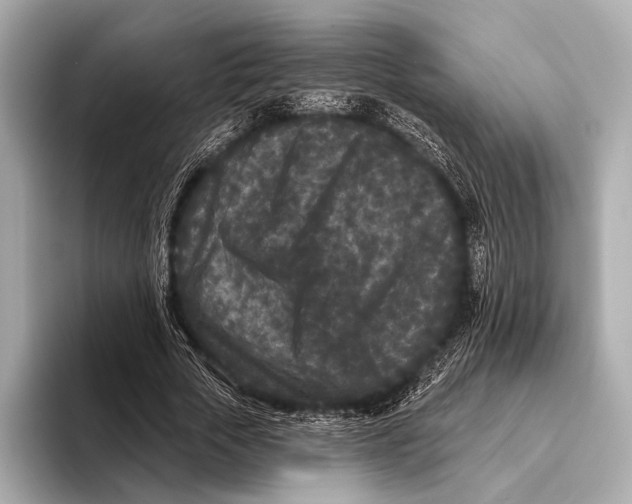 X0000093480729200711020933