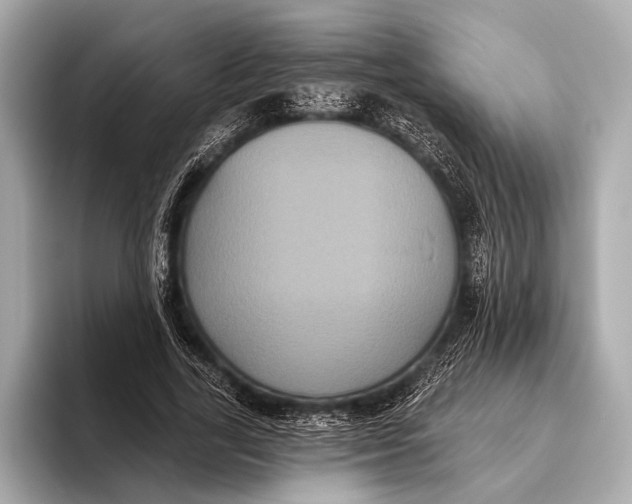 X0000093480731200711020933