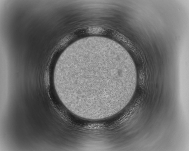 X0000093480734200711020933