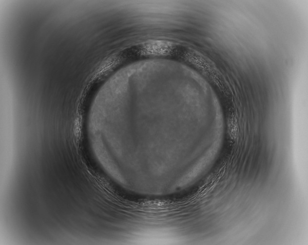 X0000093480735200711020933