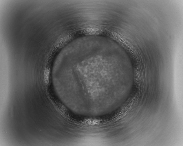 X0000093480742200711020933