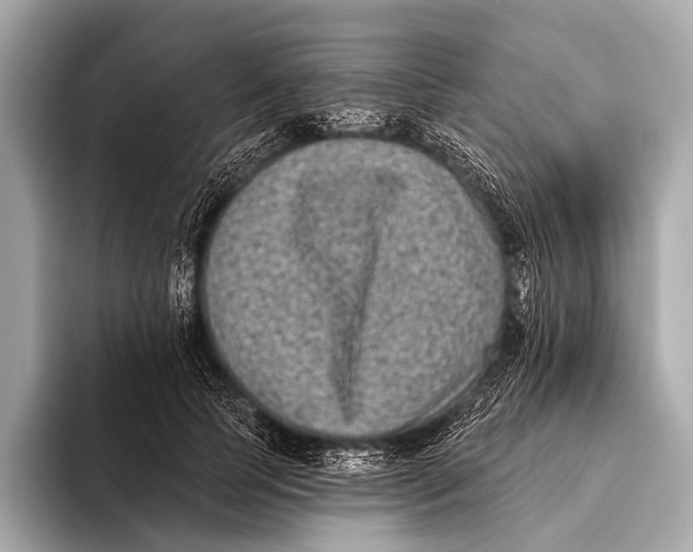 X0000093480745200711020933