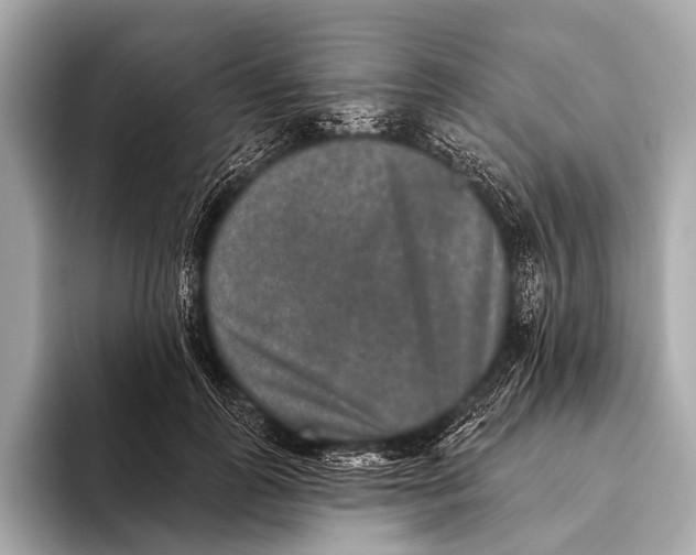 X0000093480747200711020933