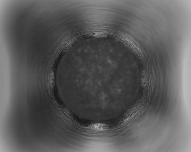 X0000093480748200711020933