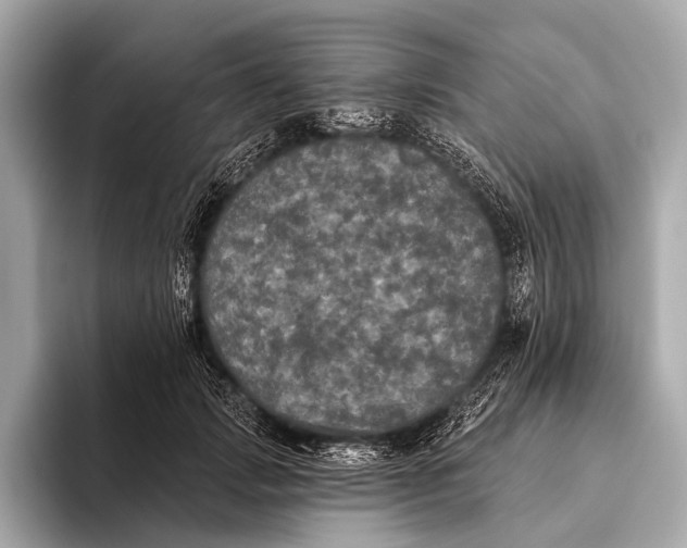 X0000093480749200711020933