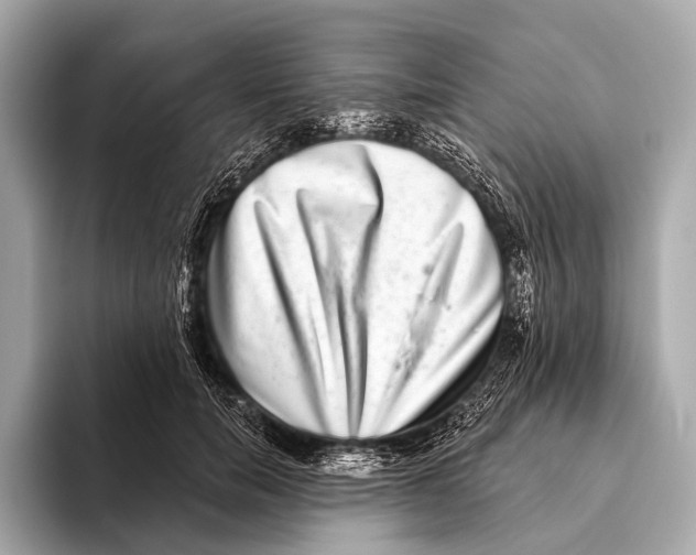 X0000093480750200711020933