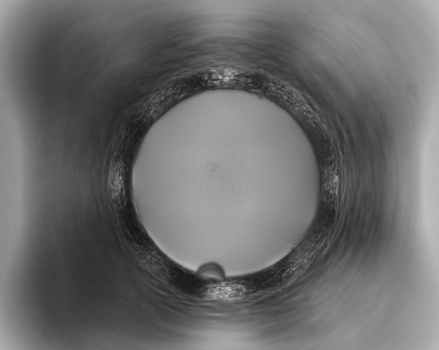 X0000093480754200711020933
