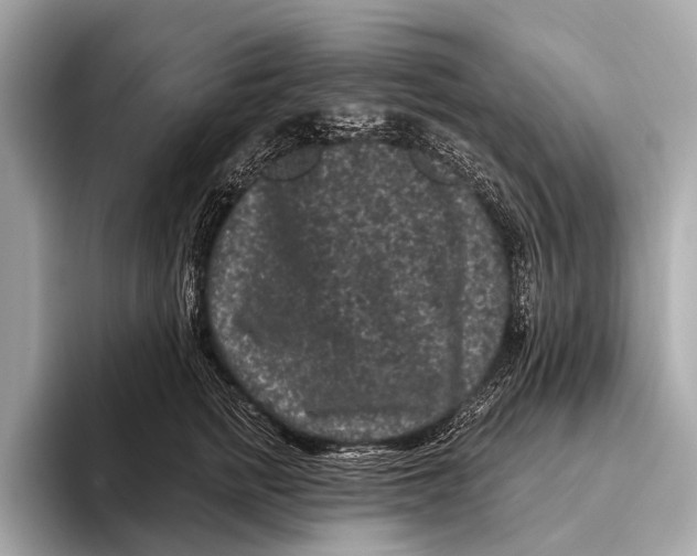 X0000093480758200711020933