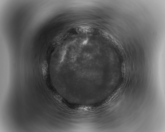 X0000093480760200711020933