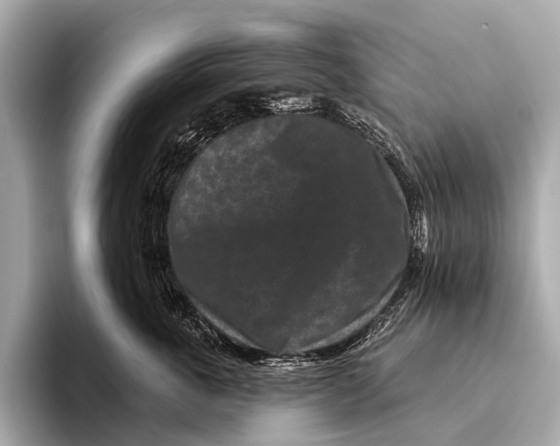 X0000093480763200711020933