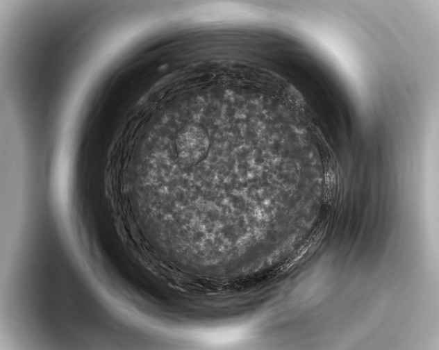 X0000093480765200711020933