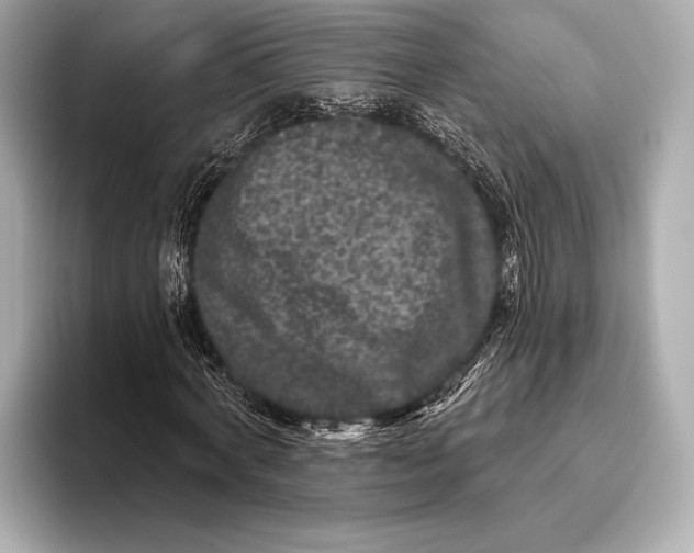 X0000093480772200711020932