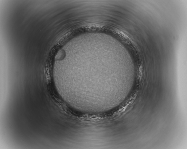X0000093480774200711020932