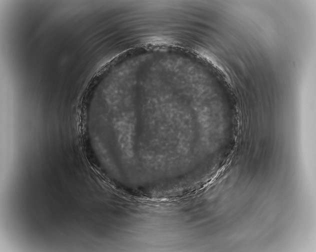 X0000093480775200711020932
