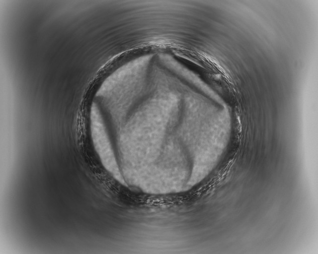 X0000093480776200711020932