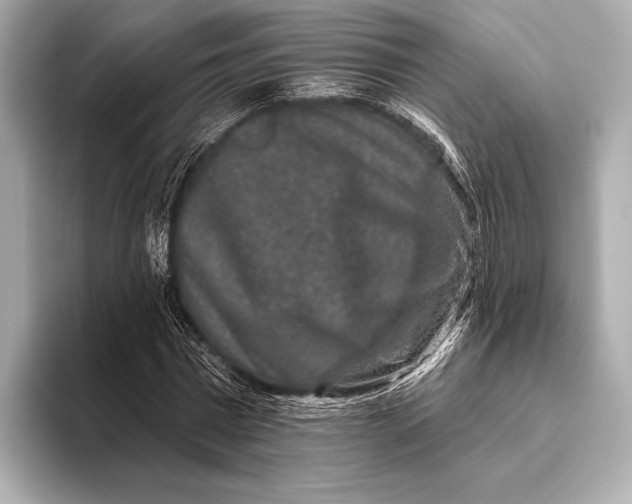 X0000093480777200711020932