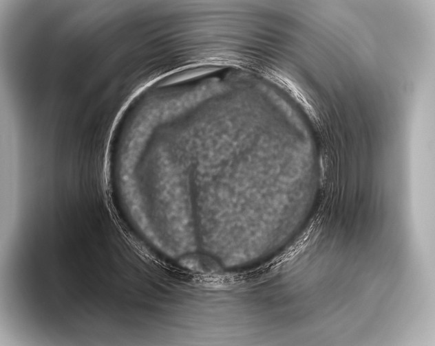 X0000093480780200711020932