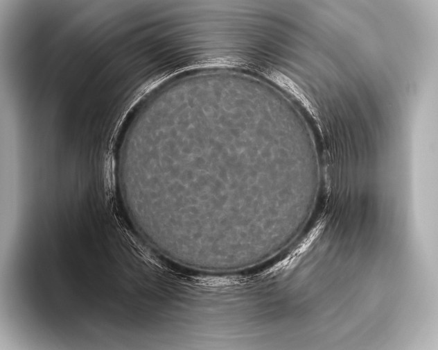 X0000093480781200711020932