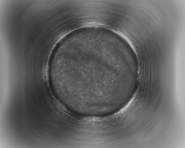 X0000093480783200711020932