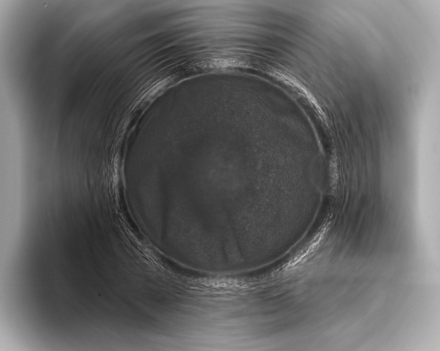 X0000093480785200711020932