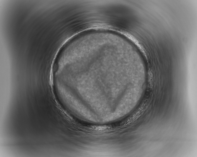 X0000093480791200711020932