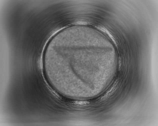 X0000093480795200711020932