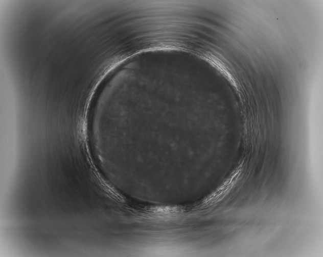 X0000093480797200711020932