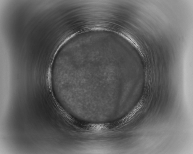 X0000093480798200711020932