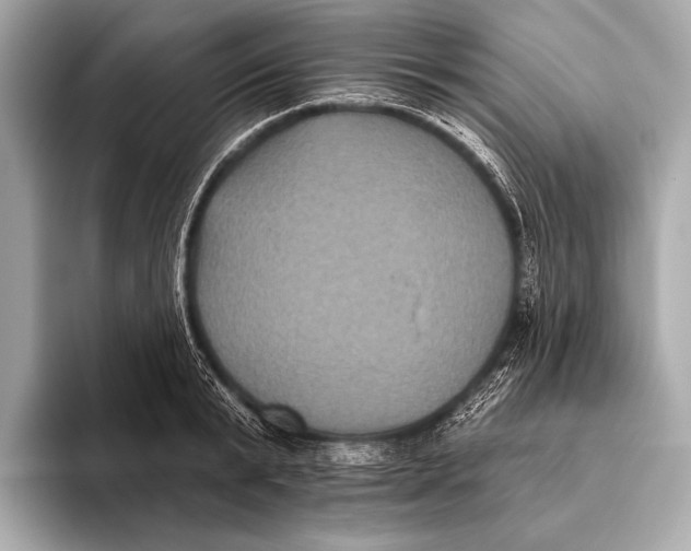 X0000093480799200711020932
