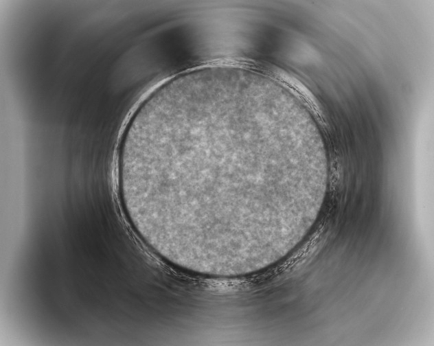 X0000093480804200711020932