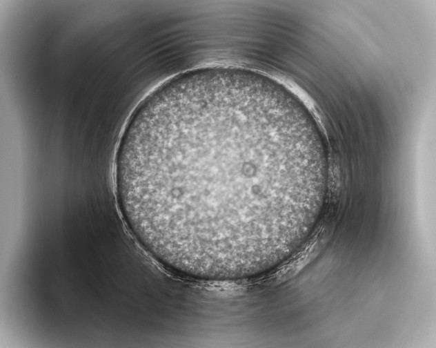 X0000093480807200711020932